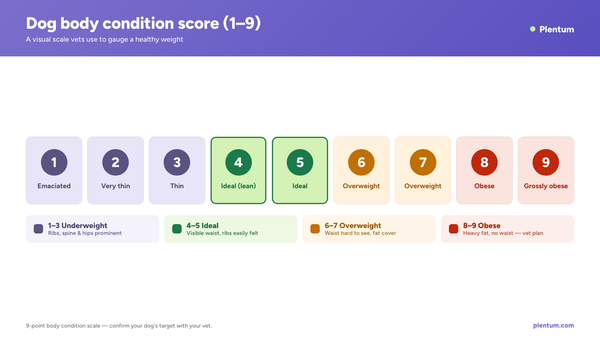Plentum infographic: dog body condition score 1 to 9 scale with underweight, ideal, overweight, and obese status bands