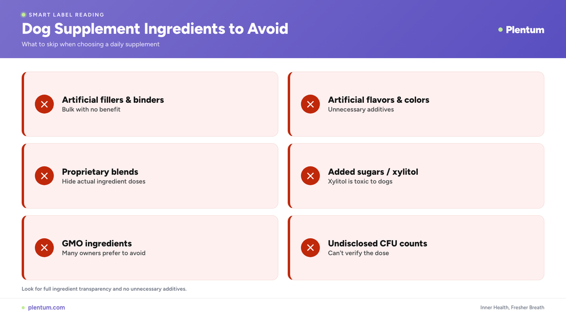Plentum infographic of dog supplement ingredients to avoid, including artificial fillers, artificial flavors and colors, proprietary blends, added sugars and xylitol, GMO ingredients, and undisclosed CFU counts