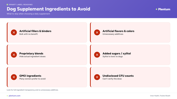 Plentum infographic of dog supplement ingredients to avoid, including artificial fillers, artificial flavors and colors, proprietary blends, added sugars and xylitol, GMO ingredients, and undisclosed CFU counts