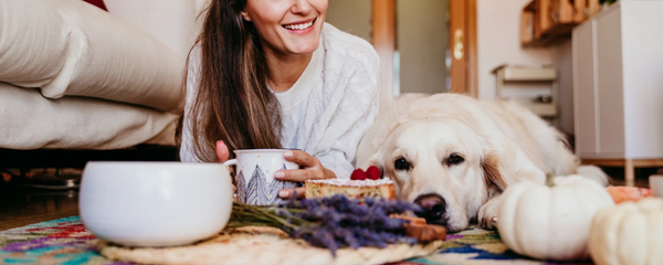 dog digestive health supplement