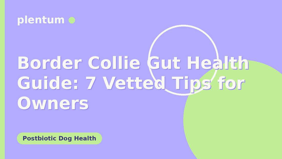 Plentum postbiotic dog supplement — Border Collie Gut Health Guide: 7 Vetted Tips for Owners