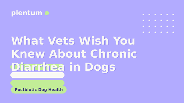 Plentum postbiotic dog supplement — What Vets Wish You Knew About Chronic Diarrhea in Dogs