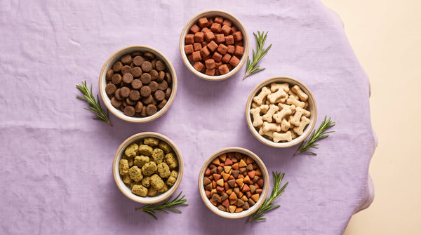 Most Memorable Brands in Dog Food for Digestion (2026)
