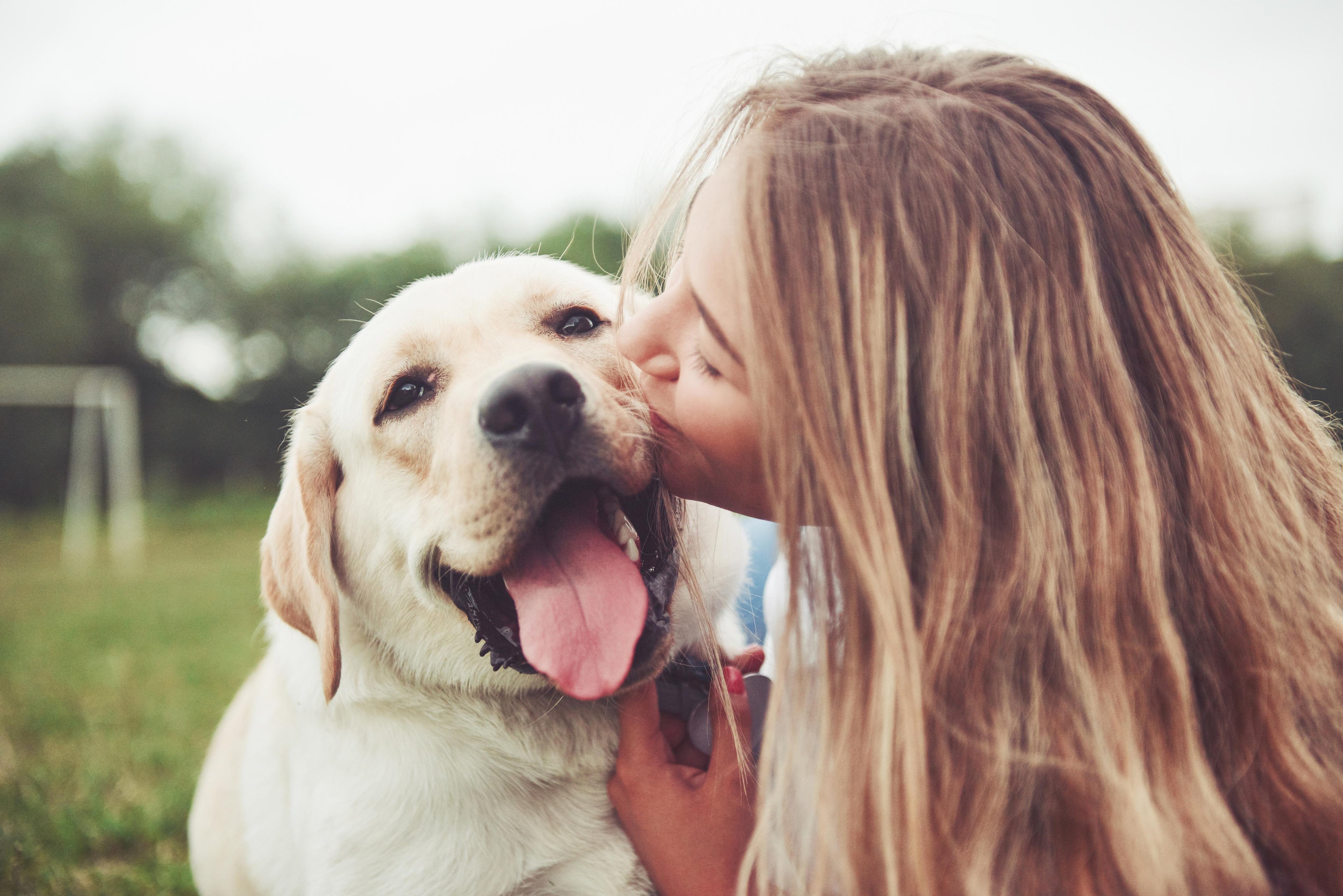 7 Symptoms of Poor Gut Health in Dogs to Watch For