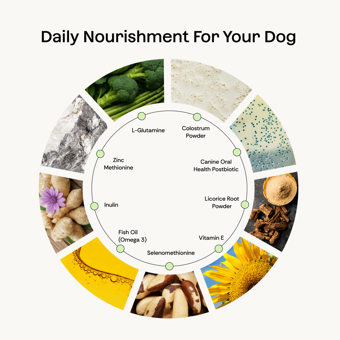 Plentum front sachet packaging — canine postbiotic supplement