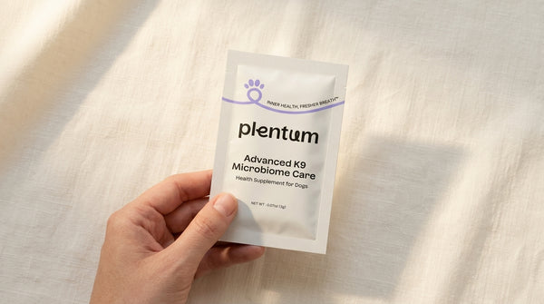 Dog receiving a daily gut-support sachet mixed into its meal, representing how a 3-in-1 synbiotic for dogs works for daily gut health