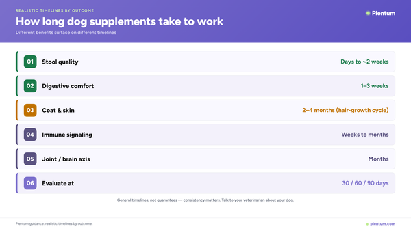 Plentum infographic timeline showing how long dog supplements take to work by outcome: stool quality in days to two weeks, digestive comfort in 1-3 weeks, coat and skin in 2-4 months, immune and joint over months, evaluate at 30, 60, 90 days.