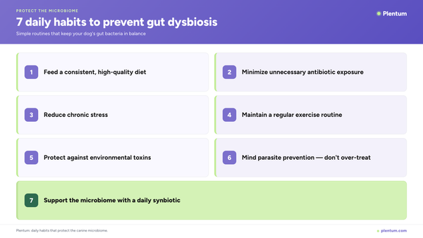 Plentum infographic listing 7 daily habits to prevent gut dysbiosis in dogs: consistent quality diet, minimize antibiotics, reduce stress, regular exercise, protect against toxins, mindful parasite prevention, and a daily synbiotic.