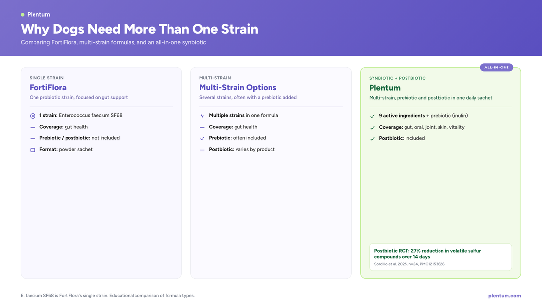 Plentum infographic on why dogs need more than one strain, comparing single-strain FortiFlora (E. faecium SF68), multi-strain options, and Plentum's all-in-one synbiotic with prebiotic and postbiotic across coverage and actives