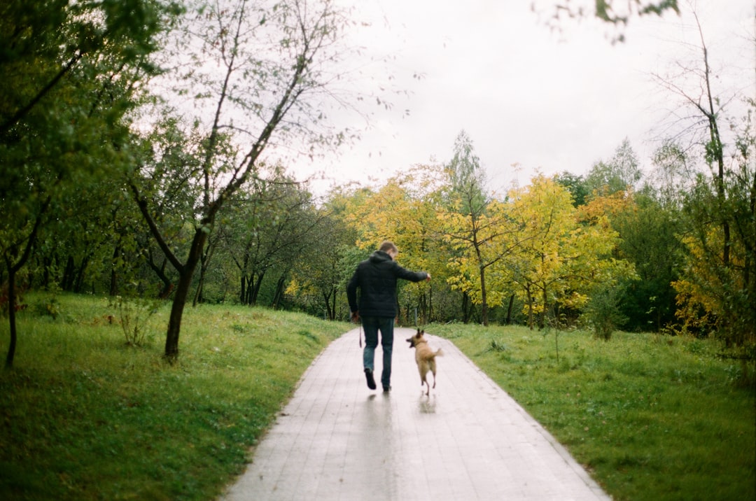Dog on a walk as part of a steady daily gut-health routine.