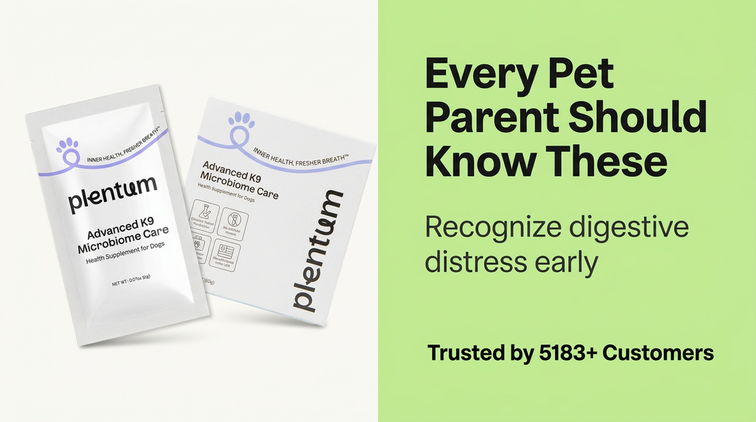 5 Alarming Signs of Poor Gut Health in Dogs That Every Pet Parent Needs to Know — expert pet health and care guide