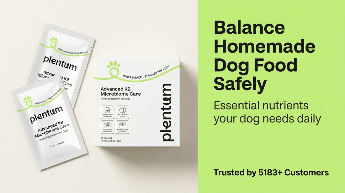 95% of Homemade Dog Foods Are Nutritionally Deficient: Here’s How to Fix Yours — expert pet health and care guide