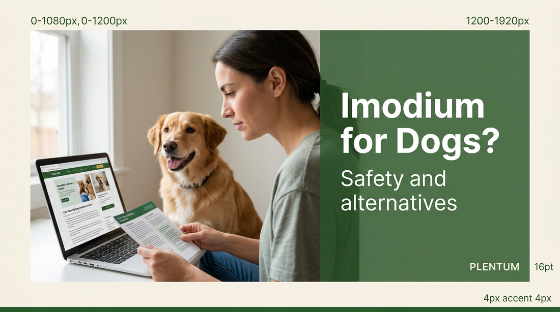 Can I Give My Dog Imodium? The Vet's Absolute Answer
