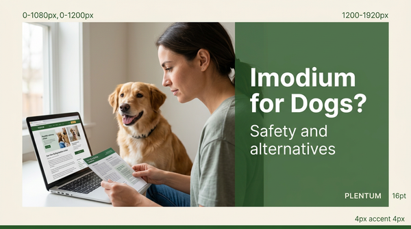 Can I Give My Dog Imodium? The Vet's Absolute Answer