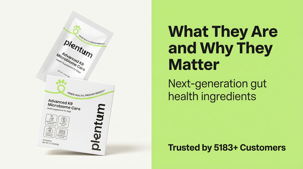 Canine Oral Microbiome & Halitosis: How Postbiotics Disrupt Plaque — expert pet health and care guide