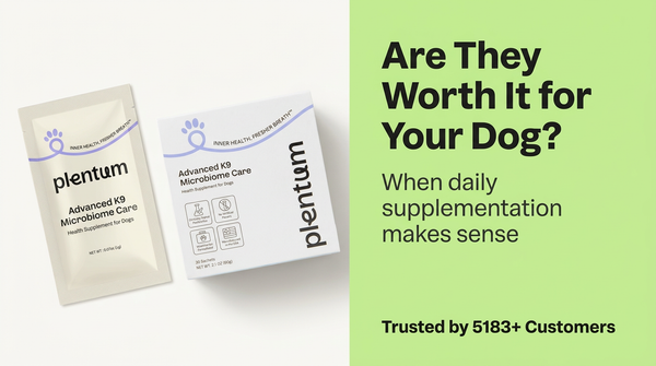 Postbiotic Dog Supplements: The Science Behind Better Dog Gut Health