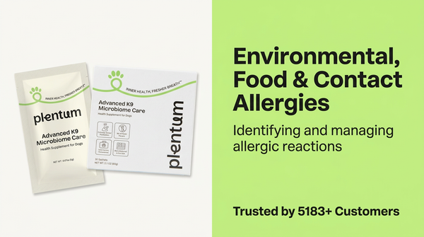 Scratching or Redness? A Simple Guide to Dog Skin Allergies & Natural Relief