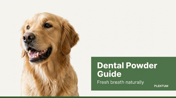 Dog Dental Powder: What It Is and Why It Works