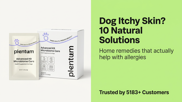 Dog Itchy Skin Home Remedies: 10 Natural Solutions That Actually Help