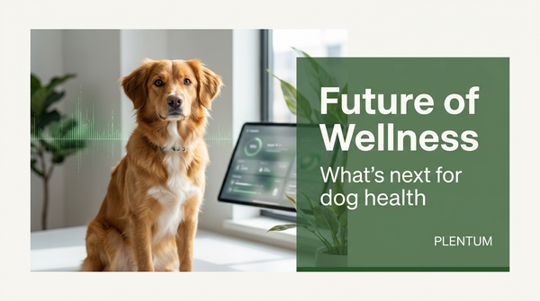 It's About Time We Return The Favor: Welcome to Plentum & The Future of Dog Wellness — expert pet health and care guide