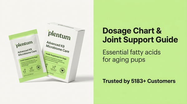 Omega-3 Benefits for Senior Dogs: Dosage Chart Included — expert pet health and care guide