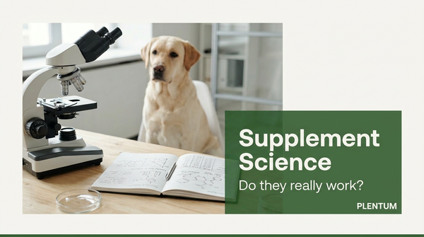 The Science Behind Dog Supplements: Do They Really Work?