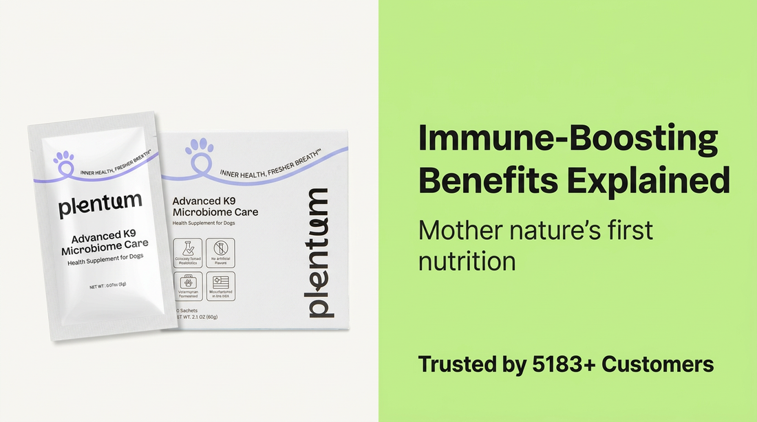 What Makes Colostrum a Superfood for Dogs? [2026 Research] — expert pet health and care guide