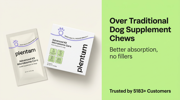 Powder? The Plentum Advantage Over Traditional Dog Supplement Chews — expert pet health and care guide