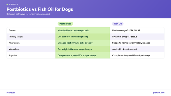 Postbiotics vs Fish Oil for Dogs