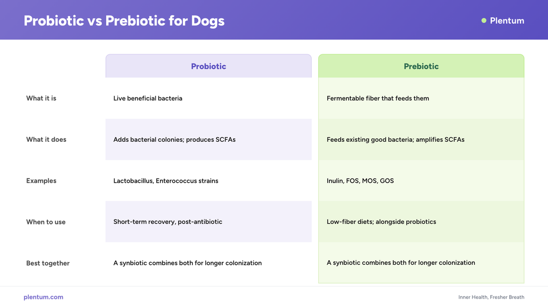 Plentum infographic explaining the difference between probiotics and prebiotics for dogs across what they are, what they do, examples, when to use, and using a synbiotic together