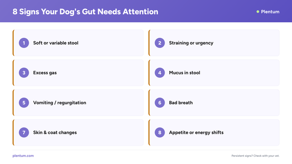 Plentum infographic listing 8 signs your dog's gut needs attention, including soft stool, straining, excess gas, mucus in stool, vomiting, bad breath, coat changes, and appetite shifts