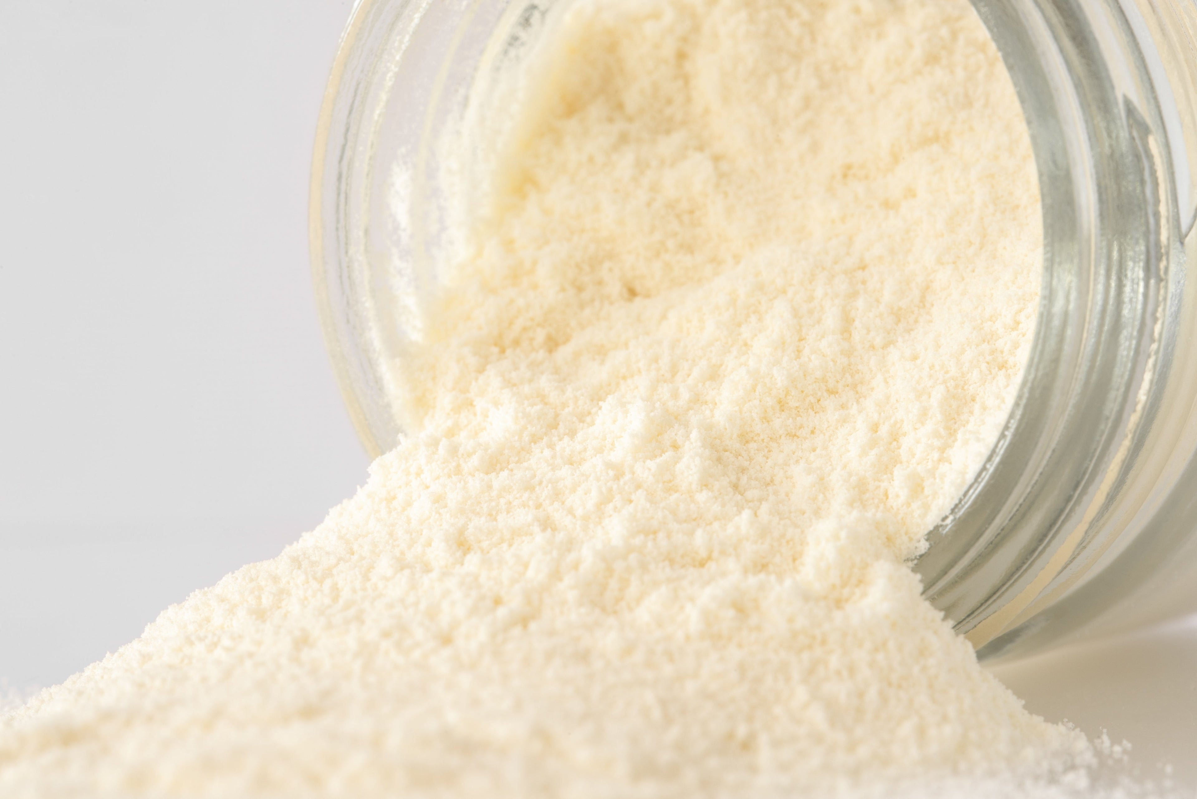 What Makes Colostrum a Superfood for Dogs? 