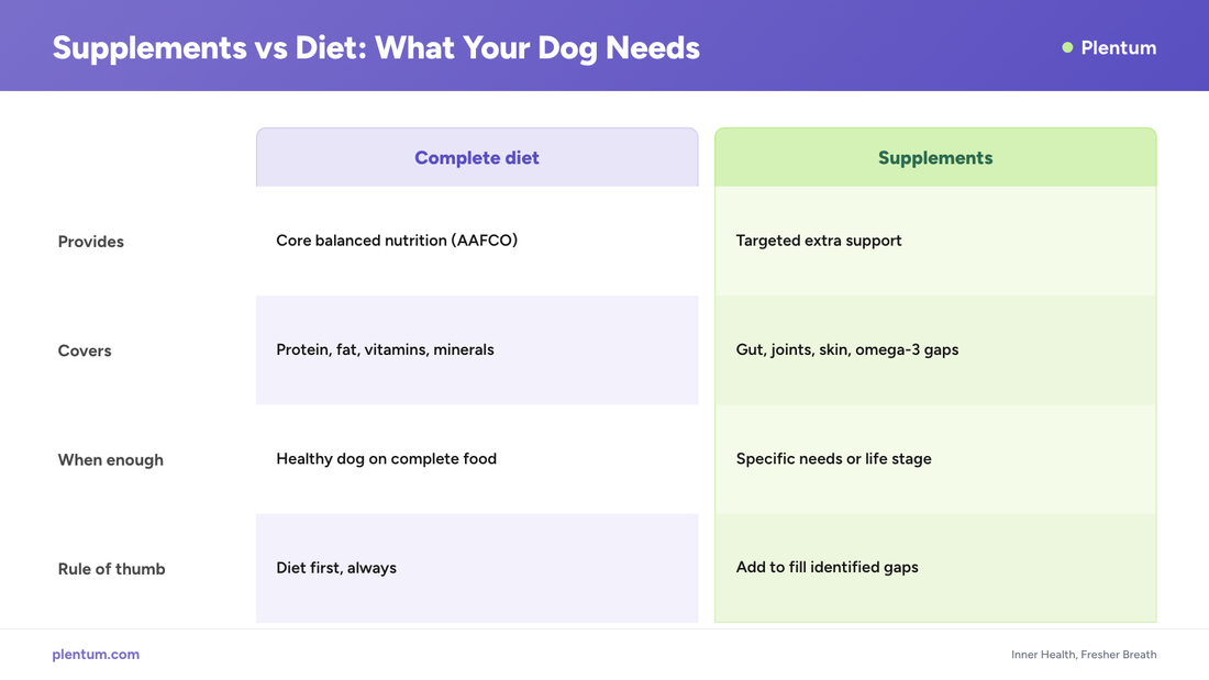 Plentum infographic comparing a complete diet vs supplements for dogs, showing diet provides core AAFCO nutrition while supplements add targeted gut, joint, skin, and omega-3 support
