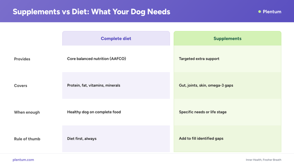 Plentum infographic comparing a complete diet vs supplements for dogs, showing diet provides core AAFCO nutrition while supplements add targeted gut, joint, skin, and omega-3 support