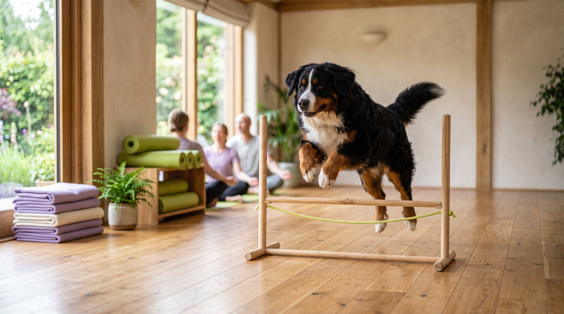 The Science Behind Postbiotics for Dogs: What the Research Shows