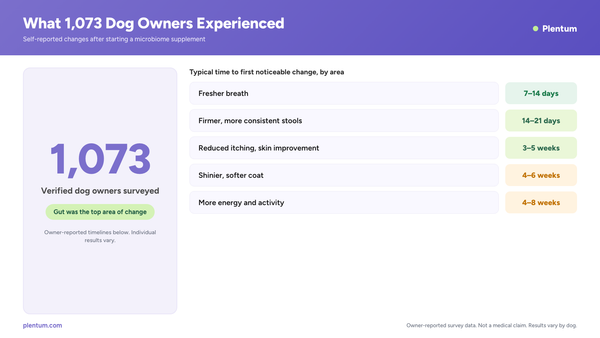 Plentum infographic showing what 1,073 verified dog owners experienced with a microbiome supplement, with owner-reported timelines: fresher breath 7-14 days, firmer stools 14-21 days, skin 3-5 weeks, coat 4-6 weeks, energy 4-8 weeks