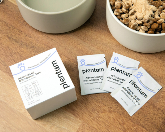 Plentum