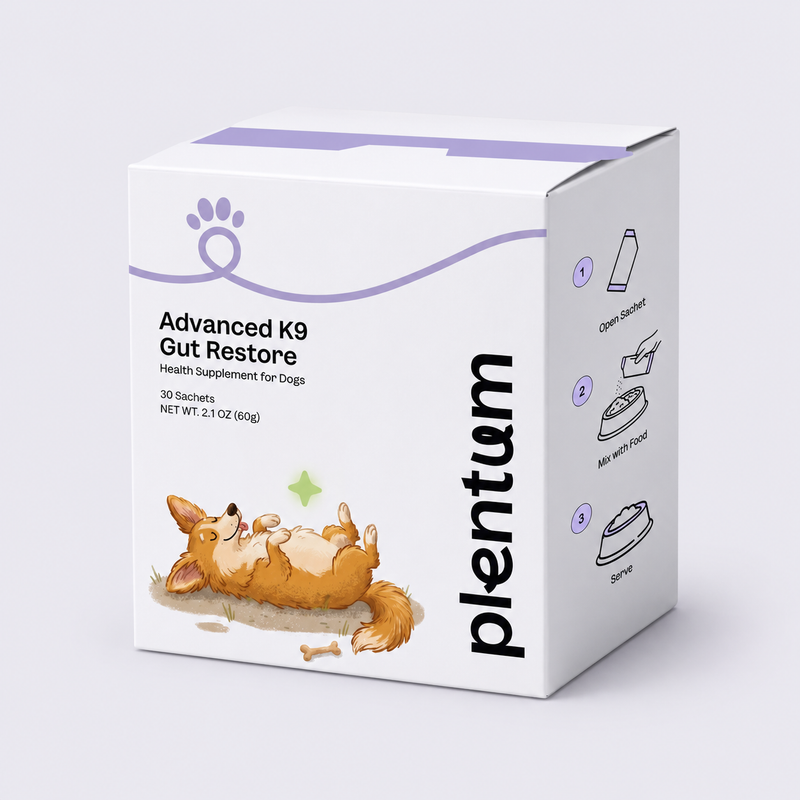 Plentum Advanced K9 Gut Restore dog probiotic powder, box of 30 sachets with a corgi illustration