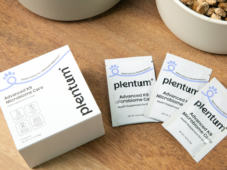 Plentum dog wellness image