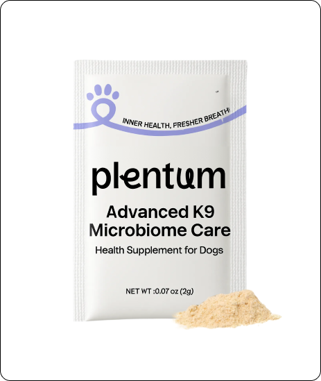 The Smarter Way to Invest in Your Dog's Health