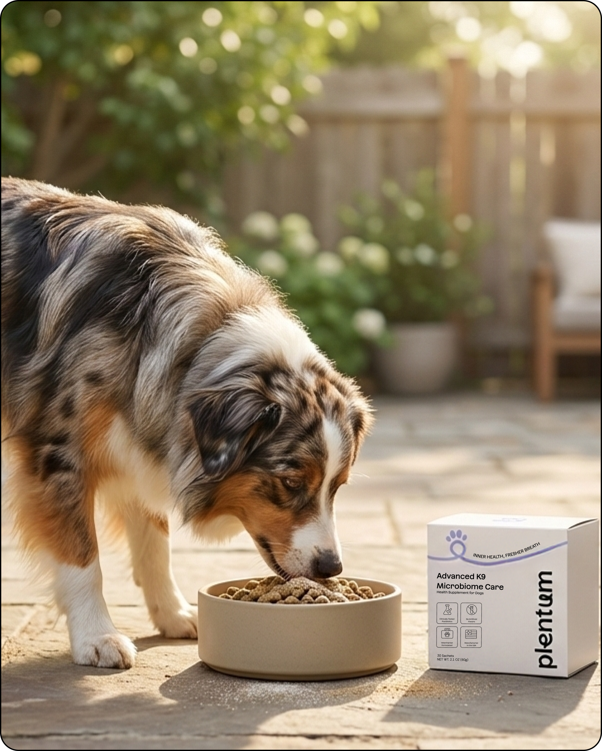 Plentum postbiotic dog supplement overview