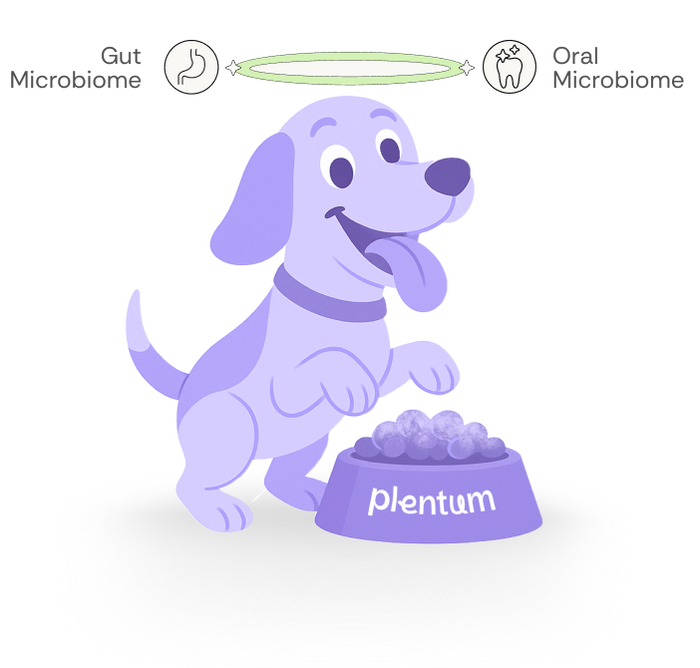 Gut and oral microbiome