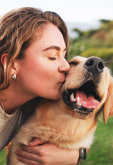 Happy dog image