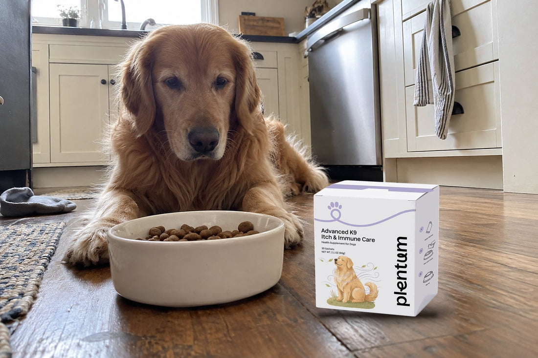 A golden retriever lies on a kitchen floor behind a bowl of kibble next to a box of Itch & Immune Care