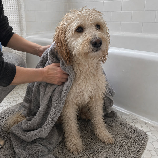 A damp poodle-mix dog sits on a bath mat wrapped in a gray towel while its owner's hands dry its coat