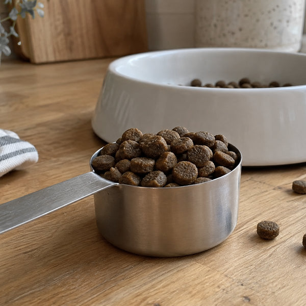 A steel scoop of kibble on a wooden kitchen counter in front of a white dog bowl