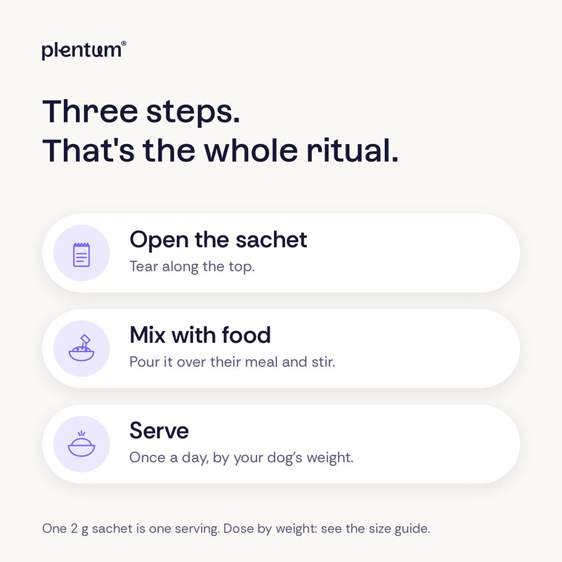 How to use Plentum sachets: open the sachet, mix it into your dog's food, serve