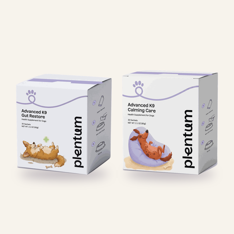 Gut Restore + Calming Care Bundle box