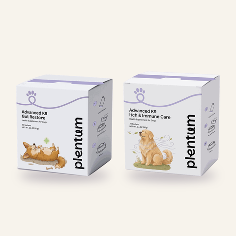 Gut Restore + Itch & Immune Care Bundle box