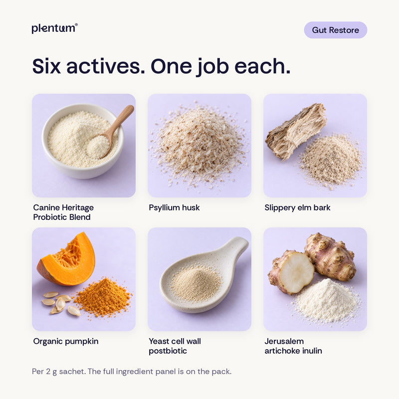 What is inside Advanced K9 Gut Restore: Canine Heritage probiotic blend, psyllium husk, slippery elm bark, organic pumpkin, yeast cell wall postbiotic and Jerusalem artichoke inulin